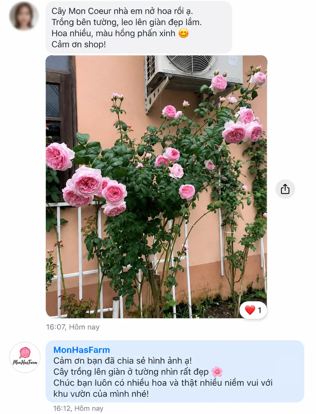 Hình ảnh khách chia sẻ về Mon Coeur