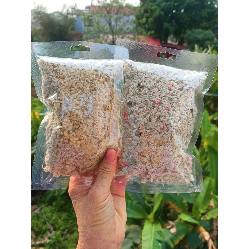 Hạt Giống Hoa Cúc Bách Nhật Nhiều Màu – Gói 100gr, Hoa Lâu Tàn, Bền Đẹp, Dễ Trồng - Ảnh 2