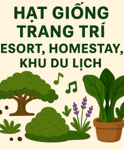 🌱 Hạt Giống Trang Trí Resort, Homestay, Khu Du Lịch