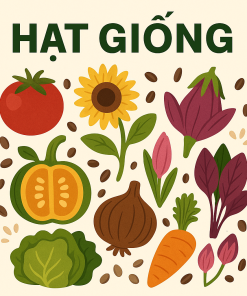 Hạt Giống