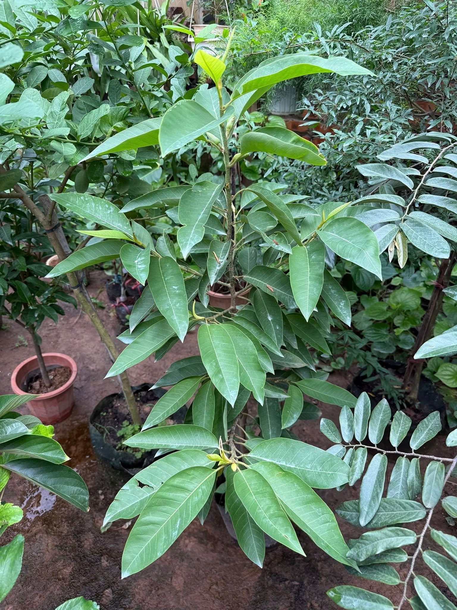 561262745_2518161291897456_2013729998359237803_n