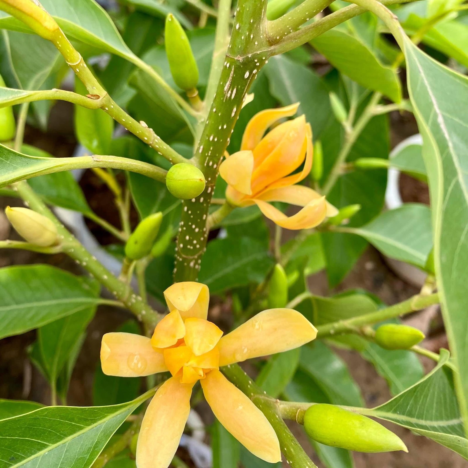 7673a97b5bf8afa6f6e9