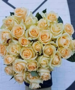 Hoa Hồng Peach Avalanche nở rộ trong vườn