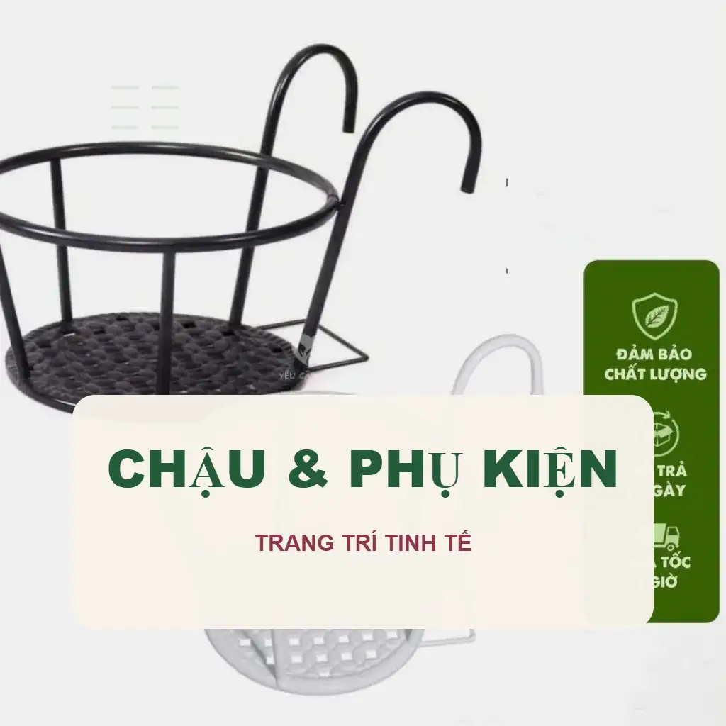 🪴 Chậu & Phụ Kiện Trang Trí