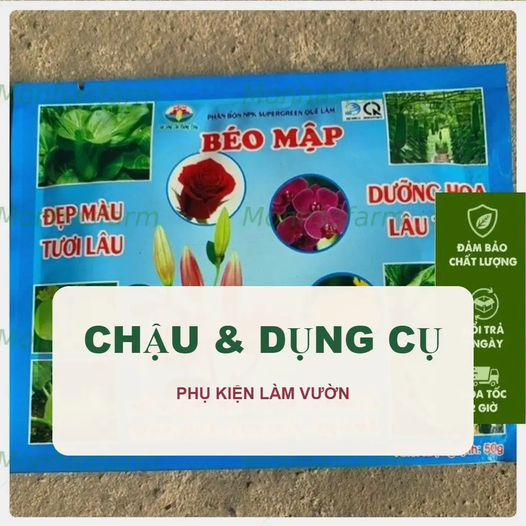 Chậu, Đất, Dụng Cụ Làm Vườn