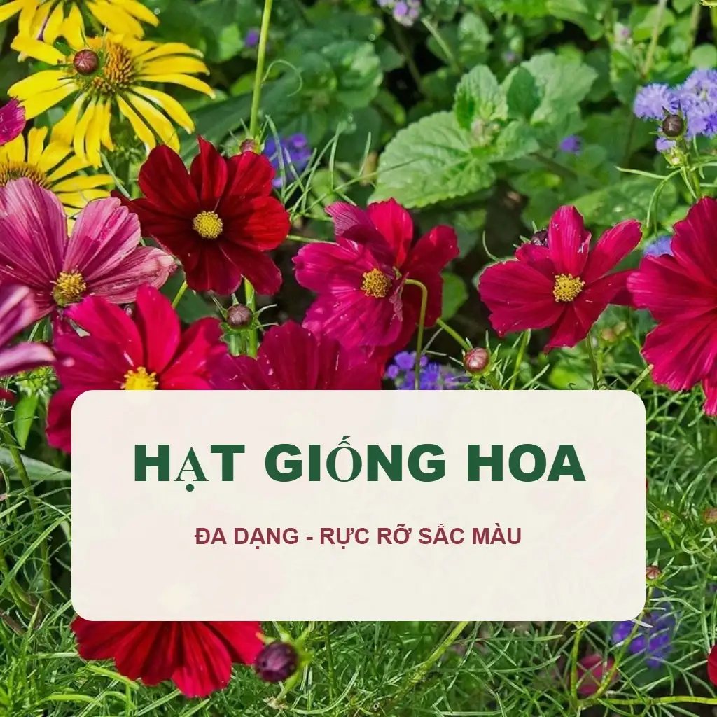 🌸 Hạt Giống Hoa