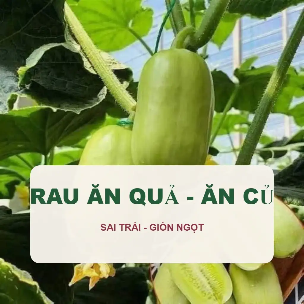 🍆 Hạt Giống Rau Ăn Quả & Ăn Củ