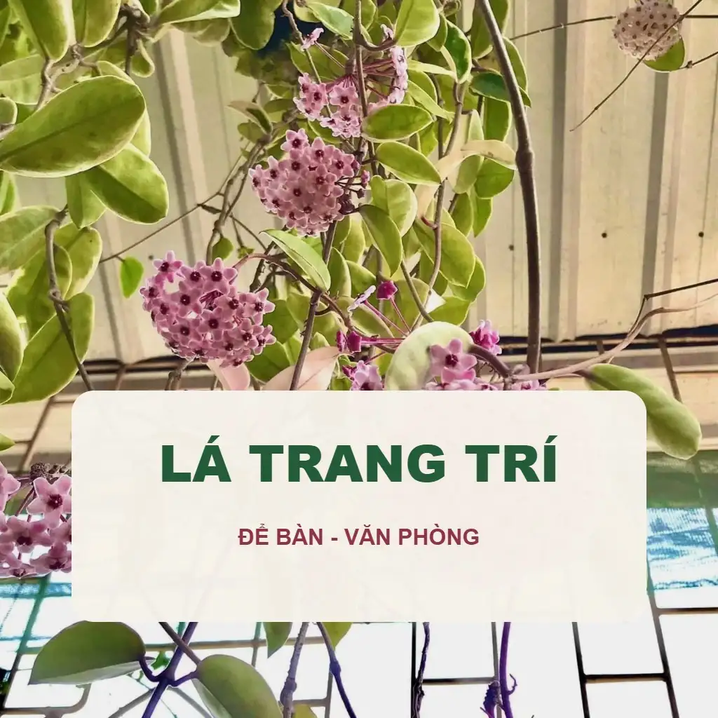 🎍 Cây Lá Trang Trí - Để Bàn